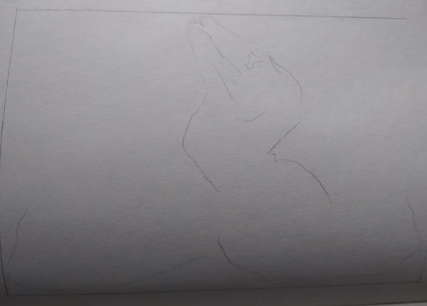 Outline of boa snake