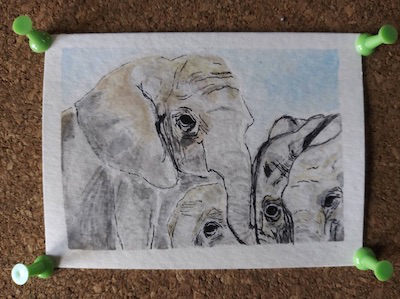 Outline of mamma and three baby elephants in fine tip marker