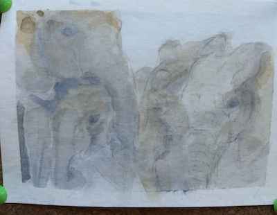 Mother elepahnt with three calves