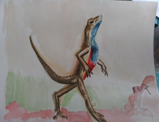 Lizard walking smugly